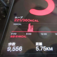 いよいよ日傘の出番ですねえ。