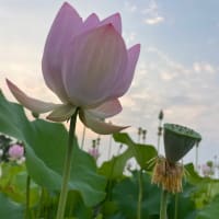 儲け至上主義の社会主義国の様子