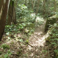 角田山（浦浜コース）2025初夏