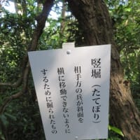 掛川城に行ってきました　第5話