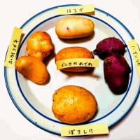 じゃがいも5種食べ比べ