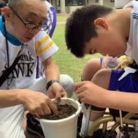 中学部　２年　理科「夏の花を植えよう」