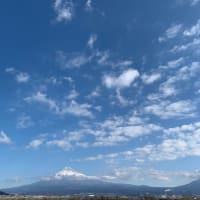 プチっと