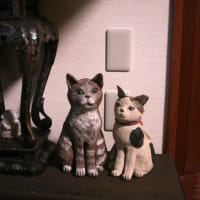 失語症友の会「だんだんサロン」がありました