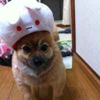 かわいい？
