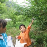 七折梅園にて