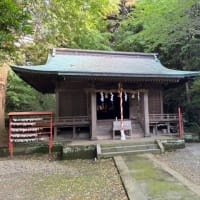 1本のイチョウの木に雄の葉と雌の葉が？！
