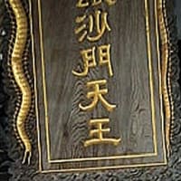 ムカデに刺されて大変