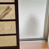 えっ　猫だ