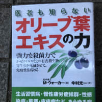 ​人口を５億人にする宗教は「サイエントロジー教会⛪️」です【統一教会です】　2024/05/29