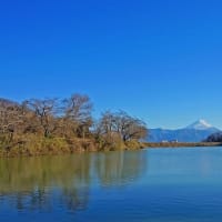 厳冬の富士山望遠　その　5