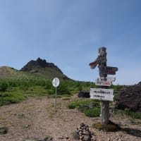 渡島駒ヶ岳の花