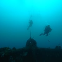 熱海 YGM Diving　Pro　5月5日　 海洋状況＆一言コメント 
