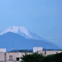 5月15日、富士山と田んぼ～♬