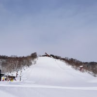 朝トレ