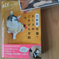 『二本足の猫　エースのごきげん日和』を読みました