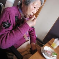 外食に行ってきました♬　白梅の森より