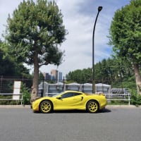 久し振りに大蛇