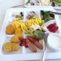 千葉県立美術館