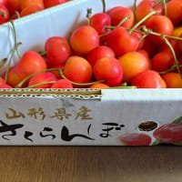 山形県産さくらんぼ