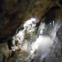 ３月２０日（水・祝）、私は日本三大鍾乳洞のひとつ、「龍河洞」に行ってみました。階段がかなりあり、上り下りして中を進みました