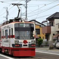 豊橋鉄道 東田～競輪場前(2025.6.8) 旧名鉄 モ８０１、モ７８６ 並び