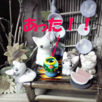 金魚鉢の行方