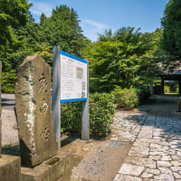 6月29日(日) 12日例会「一橋学園駅-小金井公園-境浄水場脇-三鷹駅」の下見-3-1