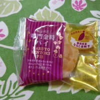 南西　～高知～　2024年4月