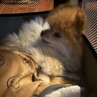 嬉しい！！！けど・・・