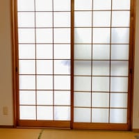 半夏生とハンゲショウ