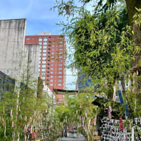 昨日の縄跳び（100×３＝300回）,甘夏みかんのパン（布屋パン）そして、お参り＆季節を描く木の御朱印紙（子安神社 / 八王子市明神町）　〜♪