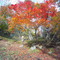 秋深まる道東の旅から戻りました。
