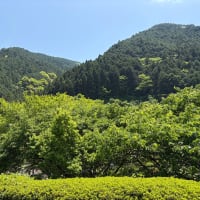 新緑