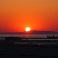 孫が突然に