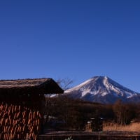 エリザベスサンダースホームのこと ウサギの部屋
