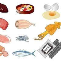 野菜 お肉 魚 料理イラスト 小沢和夫イラスト工房 野菜 お肉 魚 料理イラスト 小沢和夫イラスト工房