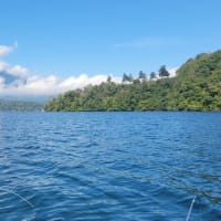 野尻湖のヒメマス釣り（秋の陣２回目）