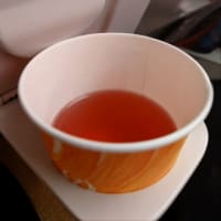 パー子！楽しかったかい