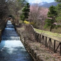 春を求めて安曇野を散策