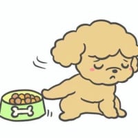 イヤイヤ期？