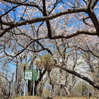 愛鷹山