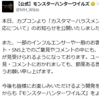 じゃあ、どーすれば良くなるの？ワイルズ？！其の二