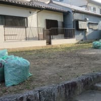熱中症になりそうな神社の清掃活動