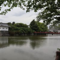 箱根仙石原・小田原旅行