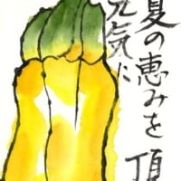 今日の絵手紙