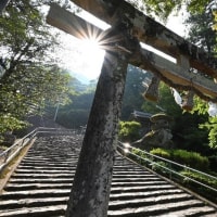 山口大神宮で夏越しの祓い
