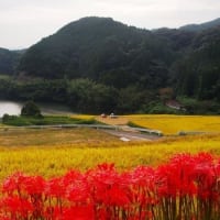 佐賀県・伊万里市の「東田代の棚田」