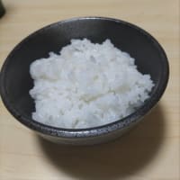 検査の結果