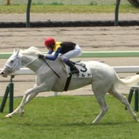 函館競馬・２歳新馬戦で “白毛馬” 快勝．．．